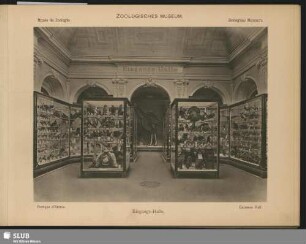 Eingangs-Halle des Zoologischen Museums im Zwinger, Dresden
