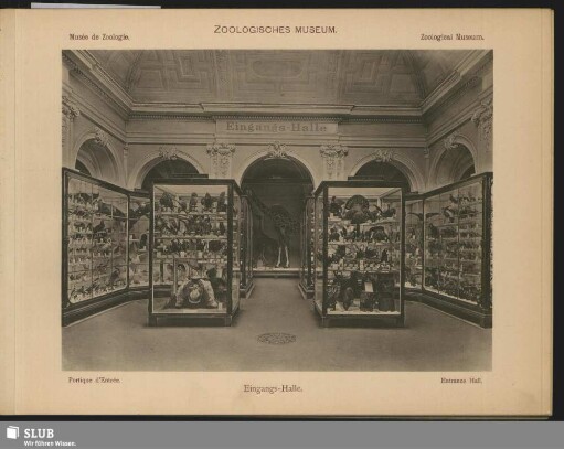 Eingangs-Halle des Zoologischen Museums im Zwinger, Dresden