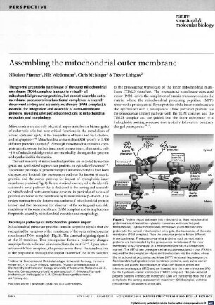 Assembling the mitochondrial outer membrane