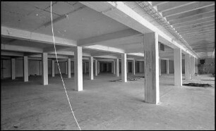 Freiburg: [Firma Gottlieb, Großlagerhalle], Keller, nach innen