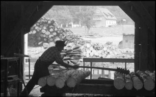 Wagensteig: Sägewerk Dold, unbearbeitete Stämme kommen ins Werk