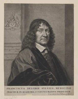 Bildnis des Franciscus Deleboe Sylvius