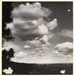 Grünflächen am Bereitschaftslager der Dynamit AG, Eggesin: Blick auf Landschaft
