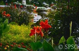 Potsdam, Park Sanssouci, Paradiesgarten.