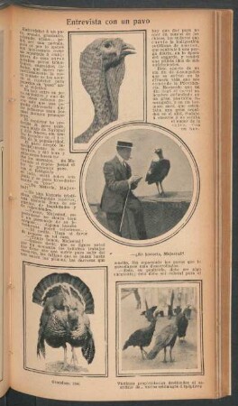 Entrevista con un pavo