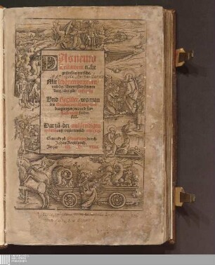 Das neuw Testament recht grüntlich teutscht : Mit schönen vorreden/ vnd der schweresten örteren kurtz/ aber gůt/ außlegu[n]g. Vnd Register/ wo man die Epistlen vnd Euangelion des gantzen jars in disem Testament finden soll. Dar zů/ der auszlendigen wörtter auff vnser teutsch anzeigu[n]g