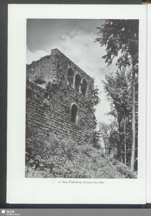 Burg Wildenberg, Ostwand des Palas und Kapitell im oberen Palas-Saal