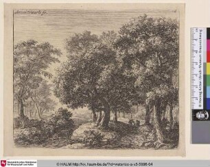 [Landschaft mit einer Allee; The forest lane]