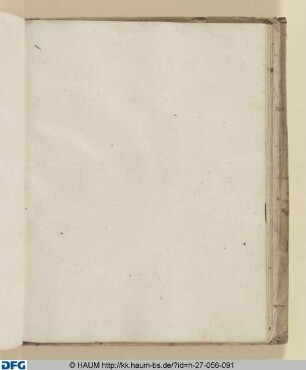 Zeichenkurs: Federstrich