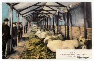 D. L.-G. 23. Wanderausstellung Leipzig 17.-22. Juni 1909