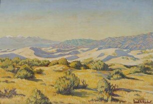 Mittagshitze brütet über den Wanderdünen der Coloradowüste Kaliforniens