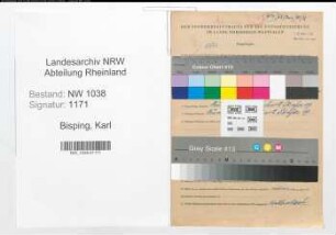 Entnazifizierung Karl Bisping , geb. 18.11.1873 ()