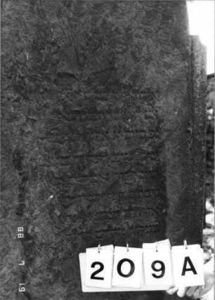 Grabstein 209 (Index: 100094399) Material: Sandstein Zustand: stark verwitt, fast völliger Textverlust Maße HxBxT: 171x70x12 cm Beschreibung: Stele, Sockel, eingezogener Rundbogenabschluß: Grabstein 209A
