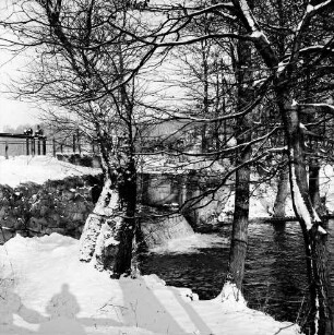 Mühlenteich: Wehr mit Überlauf: vorn an Uferböschung Bäume: Winter