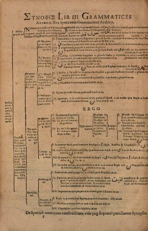 Petri Kirsteni[i] Wratisl: Phil: Et Med: D. Grammatices Arabicae, Liber ... Sive ..., 3. Syntaxis Arabica