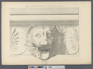 Sima aus Metapont. Terracotta.