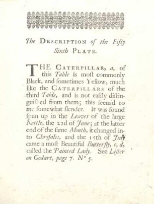 The Description of the Fifty Sixth Plate