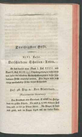 Dreißigster Heft.