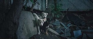Space Dogs