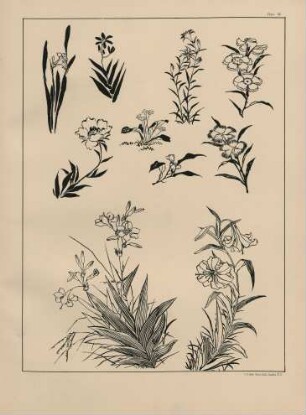 Plate 36