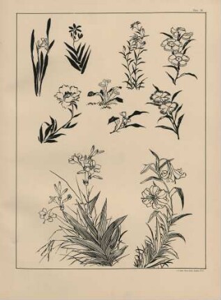 Plate 36