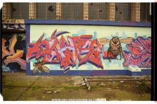 HAWK JiNE
