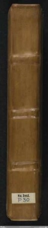 Sermones quadragesimales - Mscr.Dresd.P.30 : von verschiedenen Händen