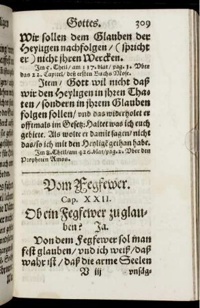 Vom Fegefeuer. Cap. XXII.