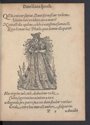 Dantiscana sponsa.