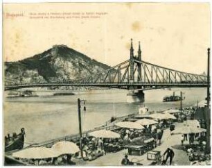 Budapest. Donaubild mit Blocksberg und Franz-Josephs-Brücke