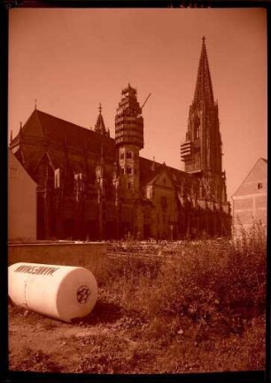 Das Freiburger Münster