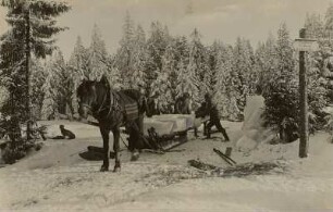 Steinbach/Erzgebirge, Tiefenbachteich, Abtransport des Eises mit dem Schlitten