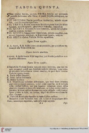 Tabula quinta