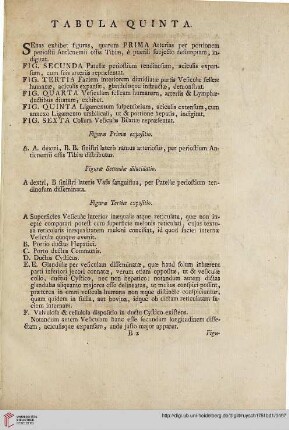Tabula quinta
