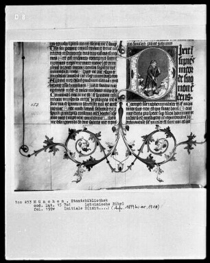 Lateinische Bibel — Initiale D (ixit insipiens) mit dem Toren, Folio 199verso