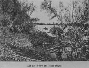 Rio Negro : Das Ufer des Rio Negros
