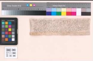 Mit früherer darauf bezüglicher Urkunde von 1535 Februar 6.