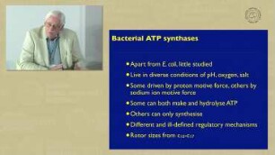 Microbial Drug Resistance