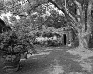 Grotte