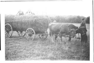 Heuwagen
