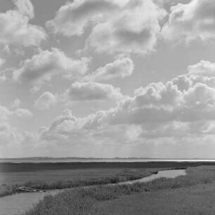 Landschaftsbilder vom Teupitzer See und vom Darß an der Ostsee.