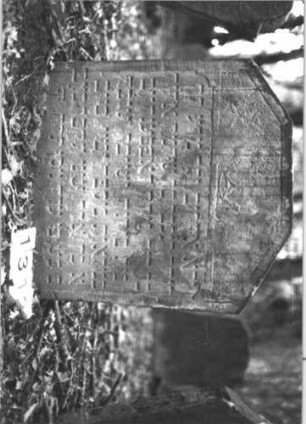 Grabstein 1312 (Index: 99900184) Material: Sandstein Zustand: gut erhalten Maße HxBxT: 75x69x11 cm Beschreibung: Stele mit abgeflachtem Dreiecksabschluss, im Dreiecksfeld zwei Löwen?, die zwischen sich eine Krone halten, und Blüten Symbolik: Löwen?, Krone, Blüten: Grabstein 1312