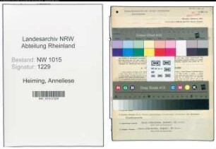 Entnazifizierung Anneliese Heiming , geb. 09.05.1922 (Verwaltungsangestellte)