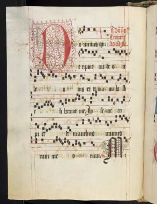 Zierintiale: D(ominus), Cadelle