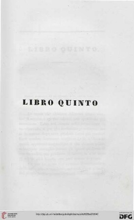 Libro quinto