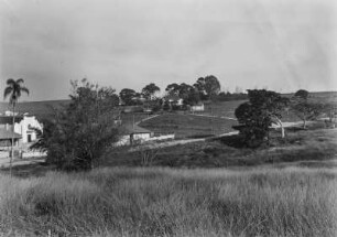 Graslandschaft : Graslandschaft mit vereinzelten Bäumen und Häusern. In der Mitte eine Straße.