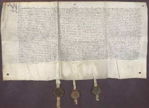 Erbhuldigungsrevers der Stadt und des Amtes Kuppenheim als Leibeigene gegen die Vormünder der Brüder Markgrafen Philibert von Baden-Baden und Christoph II. von Baden-Rodemachern