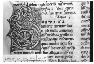 Rankeninitiale S, Folio 63 verso