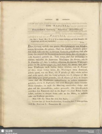 XXII. Kapitel. Neunzehnte Gattung. Nautilus. (Schiffboot)