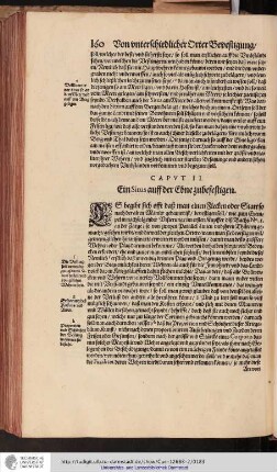 Caput II. Ein Situs auff der Ebne zubefestigen
